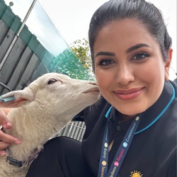 Roya profile picture