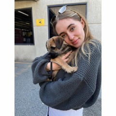 Katie profile picture