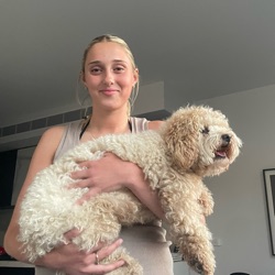 Lucia profile picture