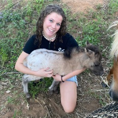 Hayley profile picture