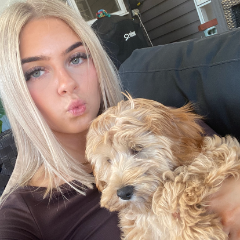 Lauren profile picture