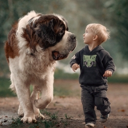 Shaila profile picture