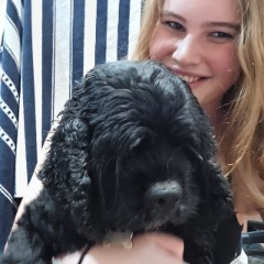 Ashleigh profile picture