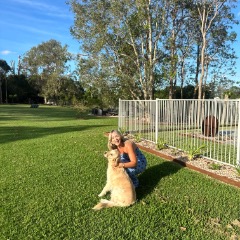 Kirstyn profile picture