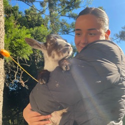 Lulu profile picture