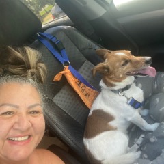 Elizabeth profile picture