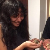 find a babysitter Olivia