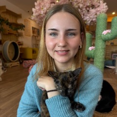Evie profile picture