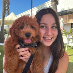 Noa profile picture