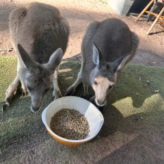Ruby profile picture