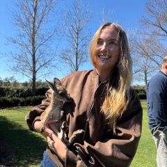 Phoebe profile picture