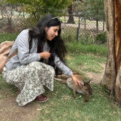 Grisel Saida profile picture