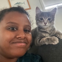Beilul profile picture