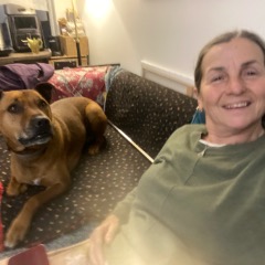 Lisa profile picture