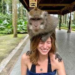 Estella profile picture