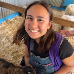 Brooke profile picture