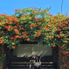 Suphatsorn profile picture