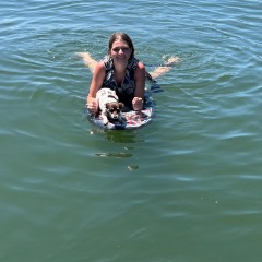 Addison profile picture