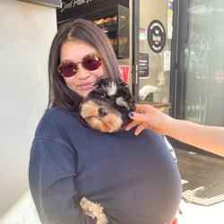 Lucy profile picture