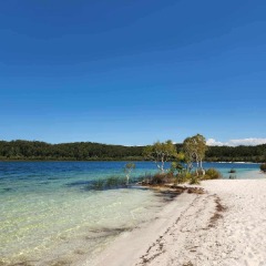 Grace profile picture