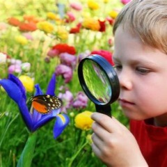 Michelle profile picture