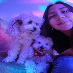 Carolina profile picture