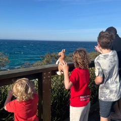 Erin profile picture