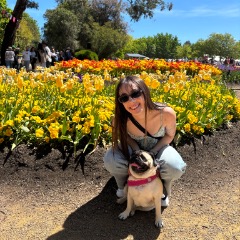 Ciara profile picture