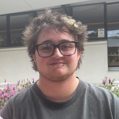 Levi profile picture