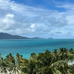 Rees profile picture