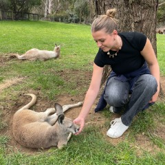 Lisa profile picture