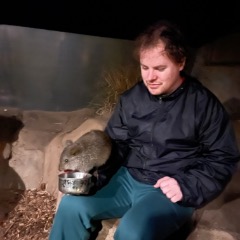 Peter profile picture