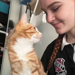 Lucy profile picture
