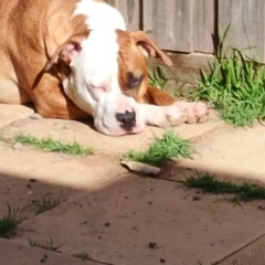Chloe profile picture