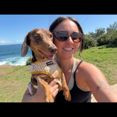Shay profile picture