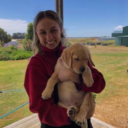 Bridget profile picture