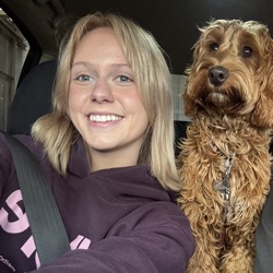 Eloise profile picture