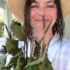 Sophie profile picture