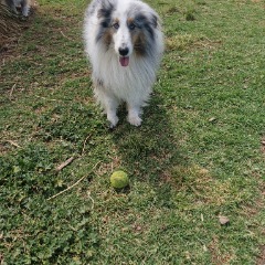 Cindylee profile picture