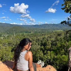 Lauren profile picture