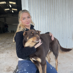 Maya Sophie profile picture