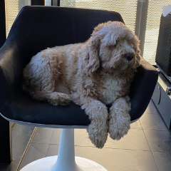 danielle profile picture