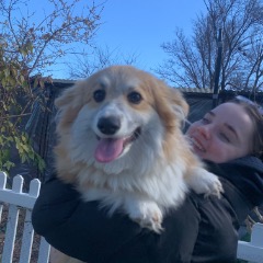 Harriet profile picture