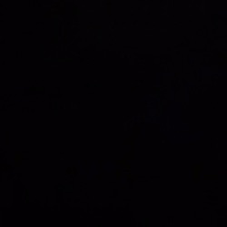 Amelia profile picture